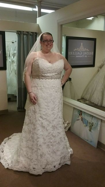Plus Size Lace or Tulle Wedding Dresses -- show me yours?