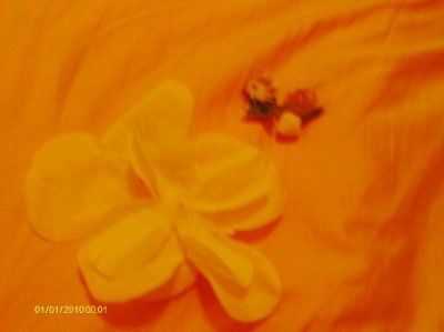DIY Flowers *pics*