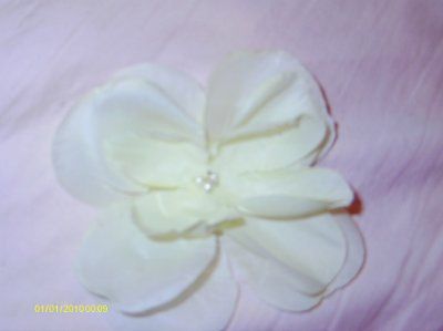 DIY Flowers *pics*