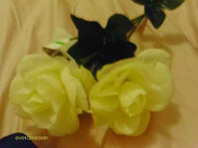DIY Flowers *pics*