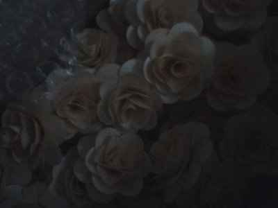 Wooden Flowers Arrived *PICS*