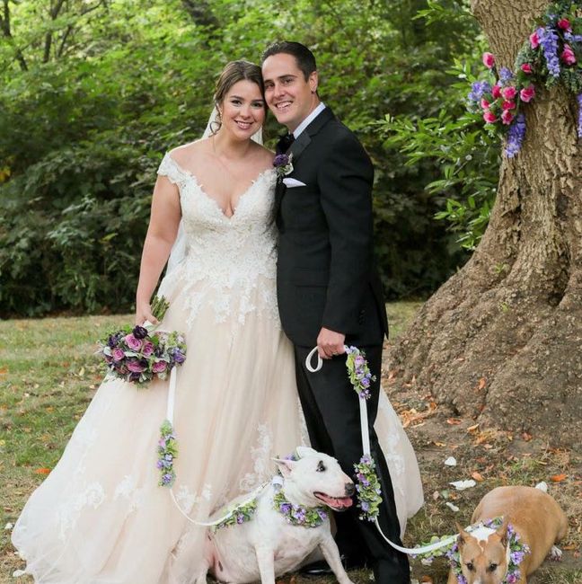 Well behaved puppy wedding photos ❤️ - 3