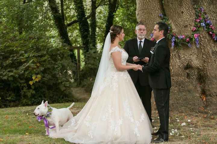 Turning my wedding dress into something i could wear again - 1