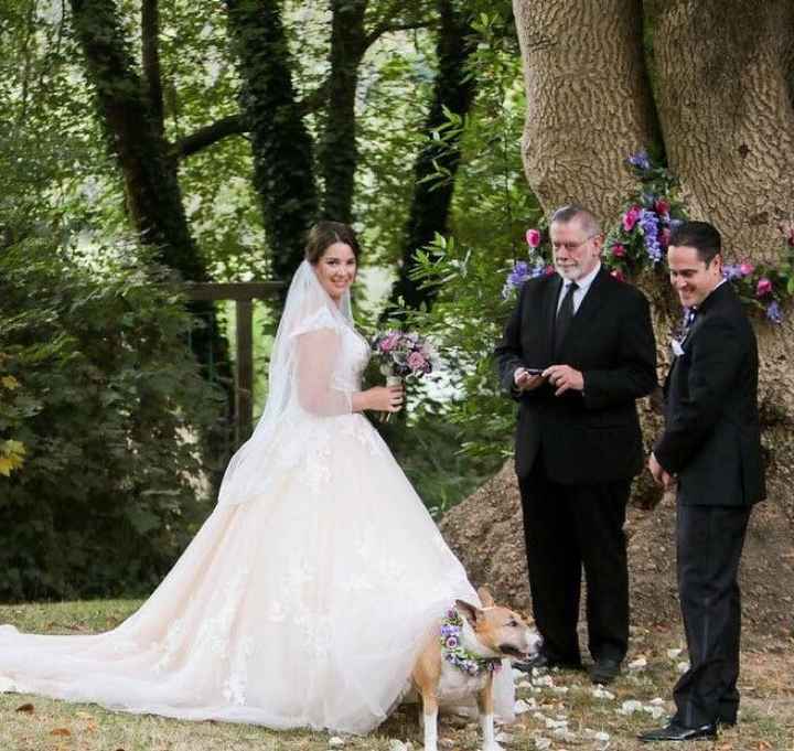 Wedding outtakes with our puppies - 1