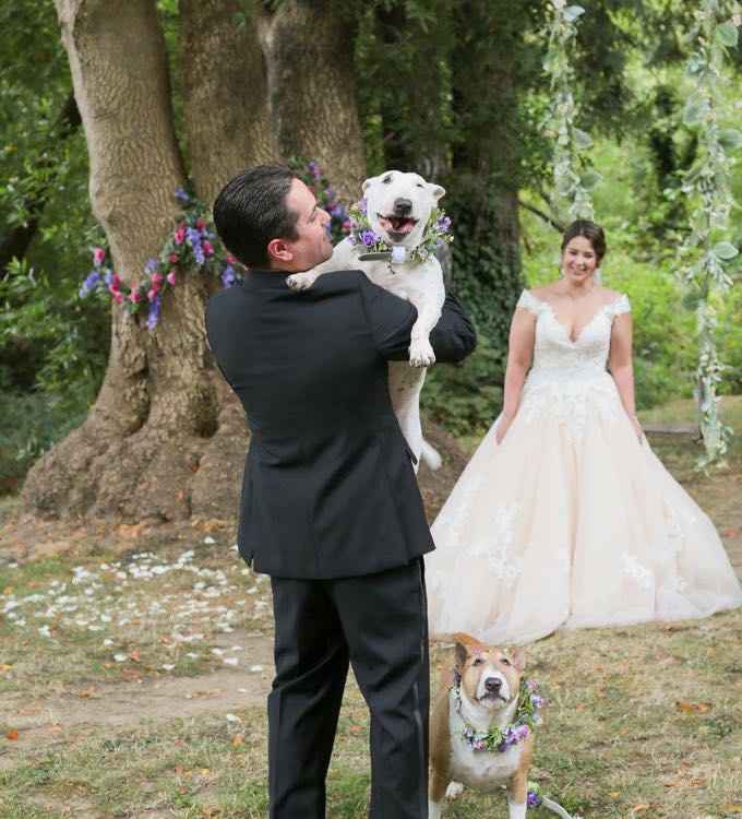 Wedding outtakes with our puppies - 5
