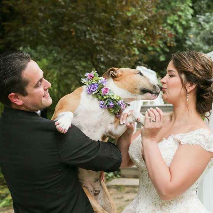 Wedding outtakes with our puppies - 7