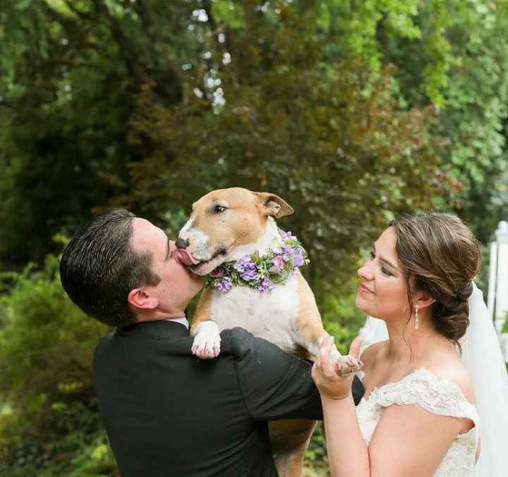 Wedding outtakes with our puppies - 8