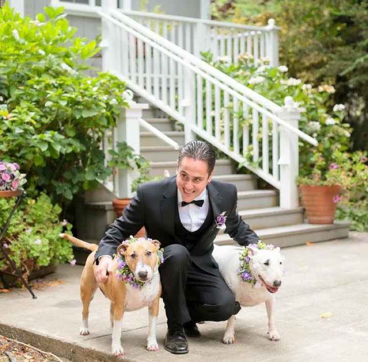 Wedding outtakes with our puppies - 9