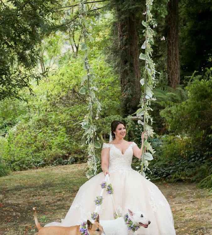 Well behaved puppy wedding photos ❤️ - 4