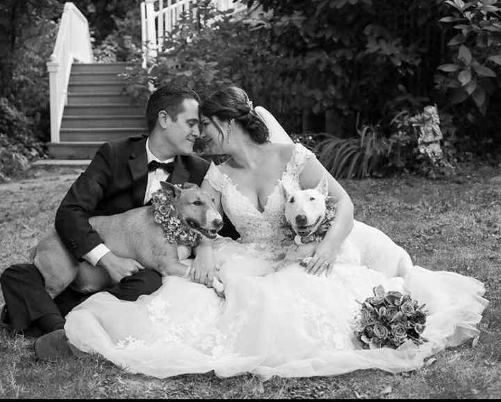 Well behaved puppy wedding photos ❤️ - 7