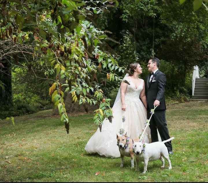 Well behaved puppy wedding photos ❤️ - 9