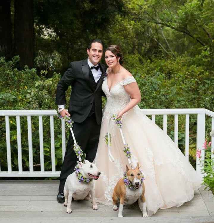 Well behaved puppy wedding photos ❤️ - 10