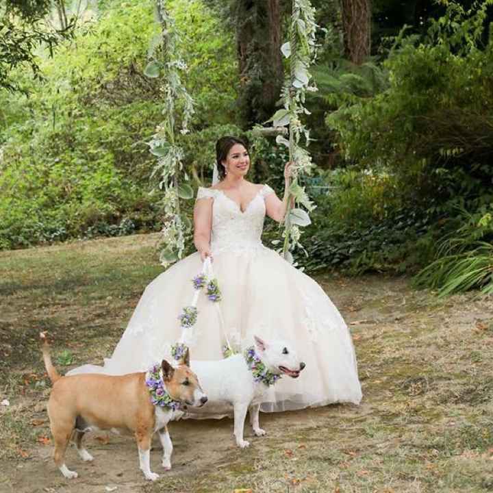 Well behaved puppy wedding photos ❤️ - 2