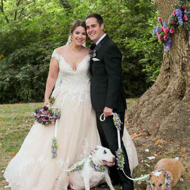 Well behaved puppy wedding photos ❤️ - 3