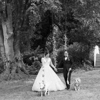 Well behaved puppy wedding photos ❤️ - 1