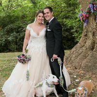 Well behaved puppy wedding photos ❤️ - 3