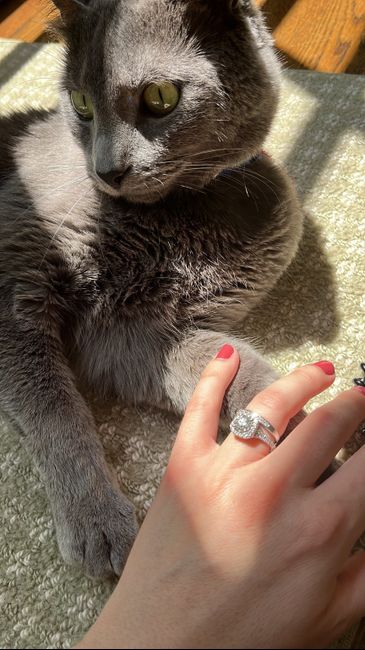 2023 Brides - Show us your ring! 3