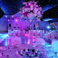 What colors did you choose for your wedding? - 2