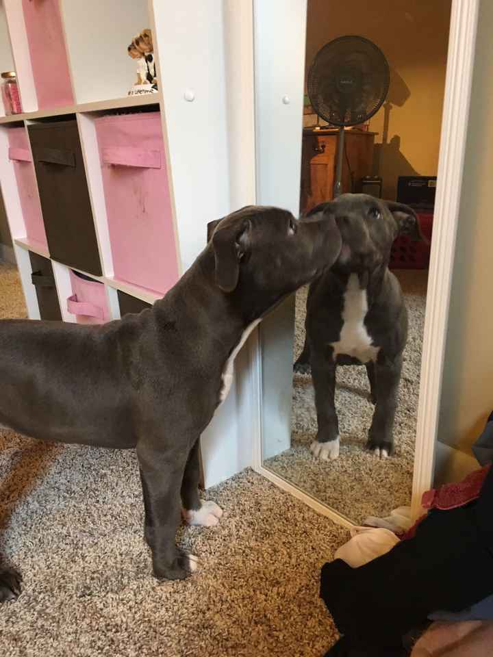 NWR today has been literal shit