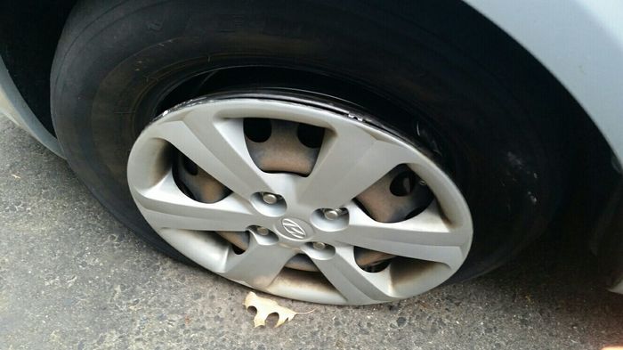 Nwr- Fml I hate cars