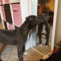 NWR today has been literal shit