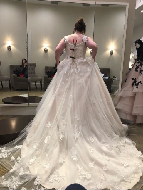 Let me see your dresses! 18