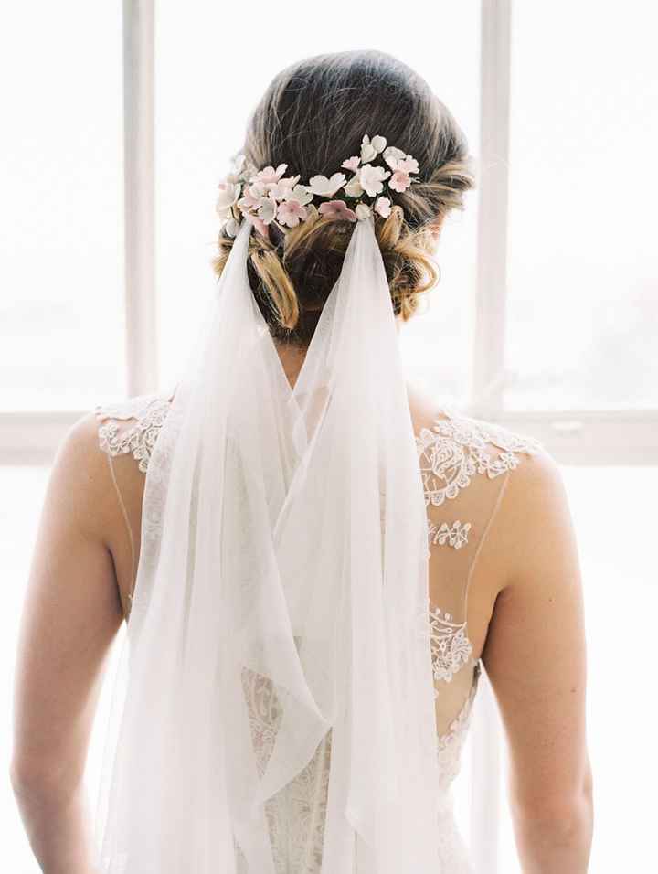 Veil or no veil? - 1