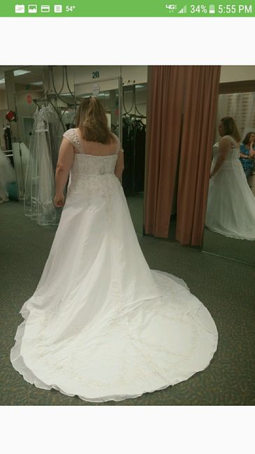 Plus size bride