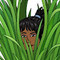 Melody
