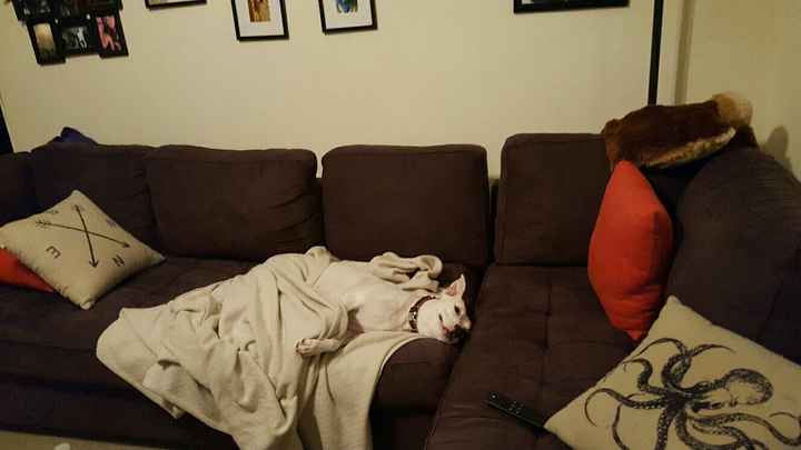NWR- let me see your fur babies, awake and scared