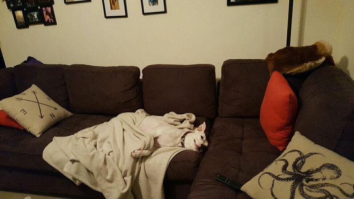 NWR- let me see your fur babies, awake and scared