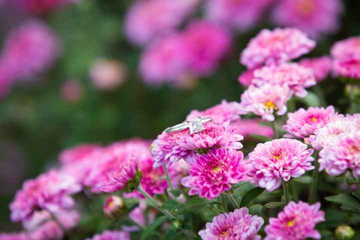 Spring Bling! Share your ring Porn!