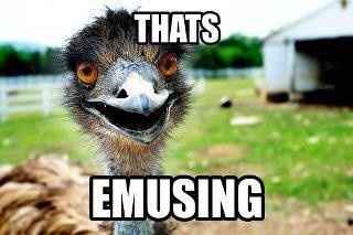 Because it's Thursday...