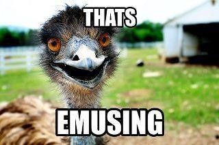 Because it's Thursday...