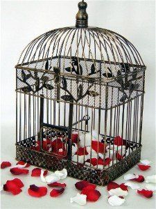 Wedding card cage.