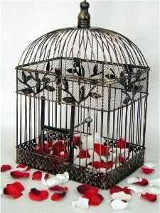 Wedding card cage.