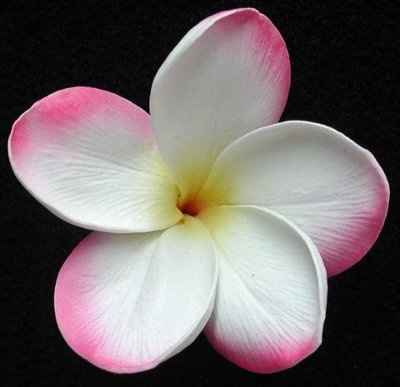 Flowers matching dresses?