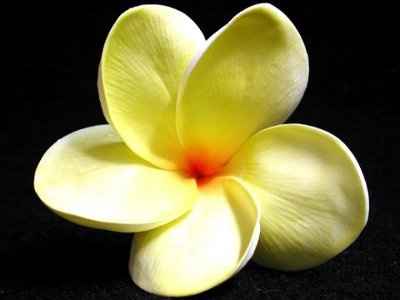 Flowers matching dresses?