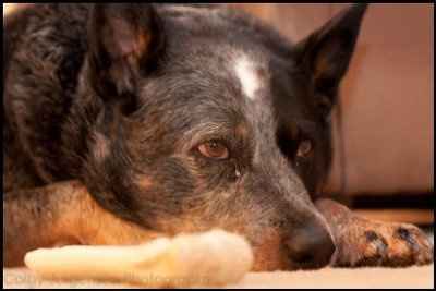 need help settling a looooong argument (NWR)