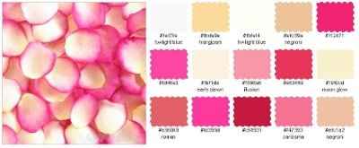 Changing the wedding color.....HELP!!!