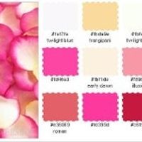 Changing the wedding color.....HELP!!!