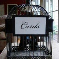 Have reached a lull in planning - now what do I do??