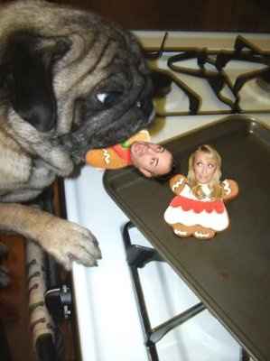 NWR - Pugs For Dinner?