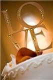 What are you using for a cake topper?