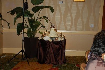 It took me a while... but here is my advice and more pics!