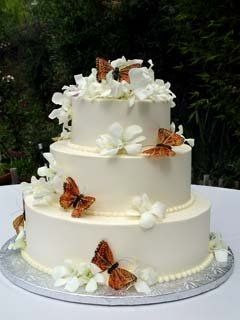 ANY IDEAS $ A BUTTERFLY THEMED WEDDING!!! HELP!!