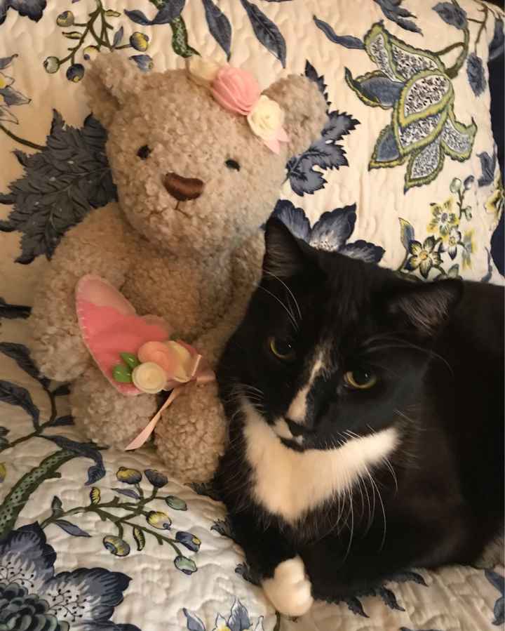 Let’s See Your Fur Babies! - 2