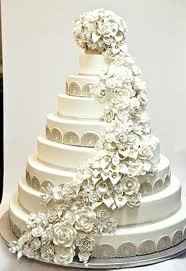 Which Cake?