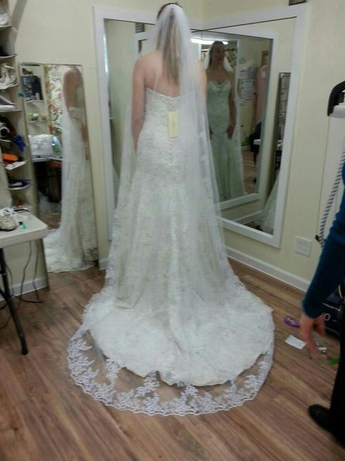 Opinions needed on veil choice