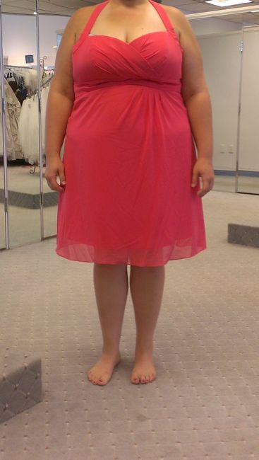 Bridesmaid Dresses.. sigh...